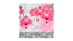 Romantic Orchid